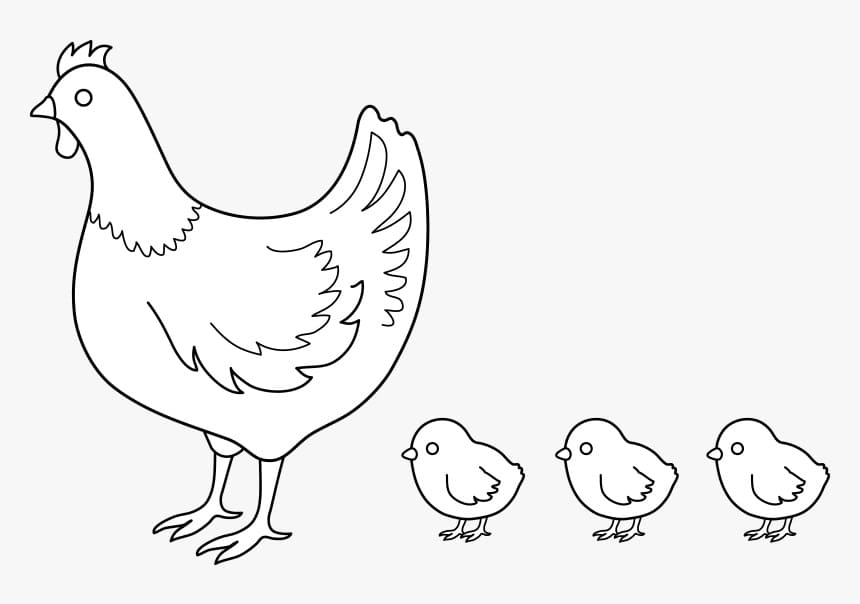 Illustration au trait Poule et Poussin #193162 de la collection Animaux à colorier gratuitement