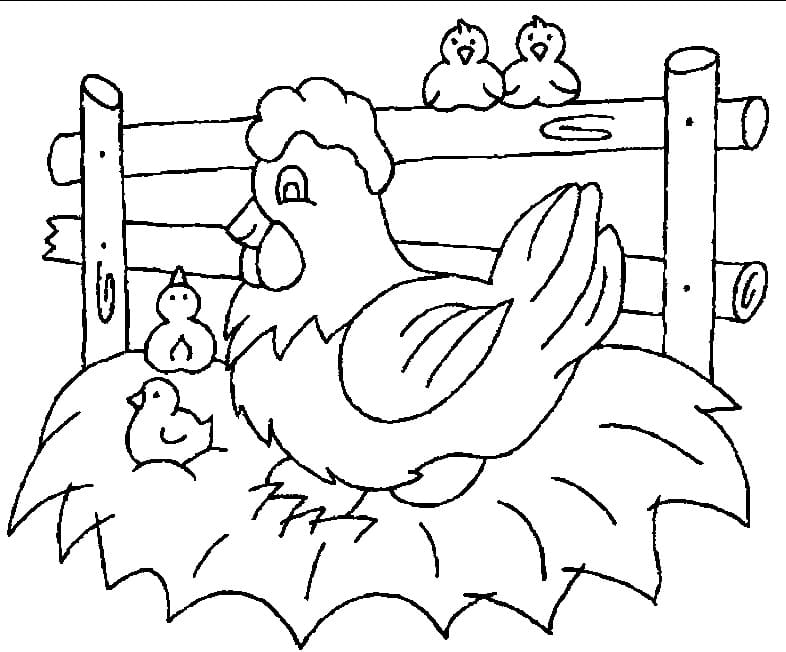 Coloriage gratuit Poule et Poussin #193192 de la collection Animaux à imprimer