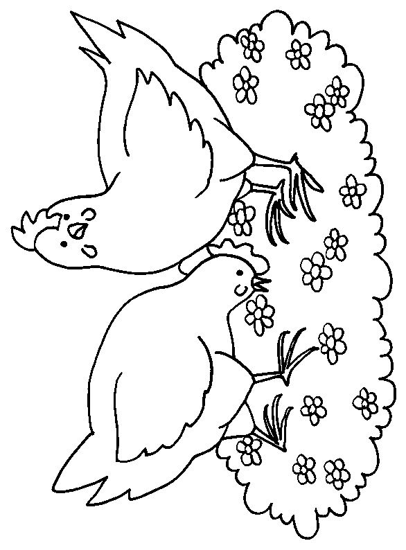 Dessin à colorier: Poulet (Animaux) #17272 - Coloriages à Imprimer Gratuits