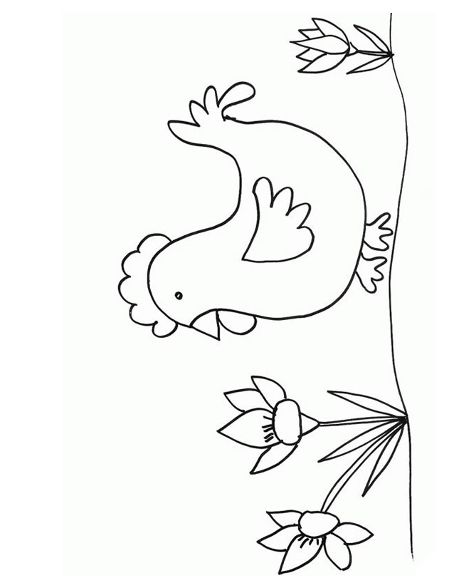 Dessin à colorier: Poulet (Animaux) #17316 - Coloriages à Imprimer Gratuits