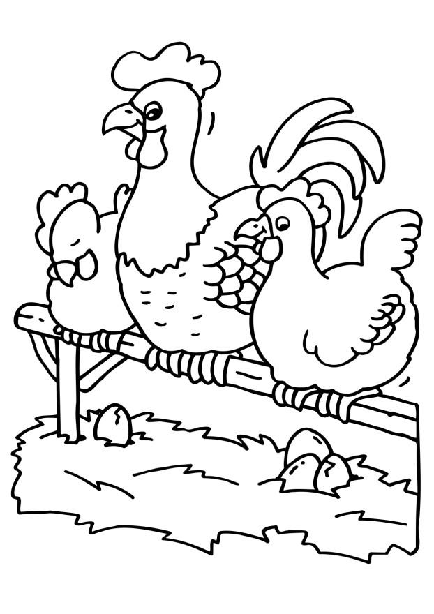 Dessin à colorier: Poulet (Animaux) #17392 - Coloriages à Imprimer Gratuits