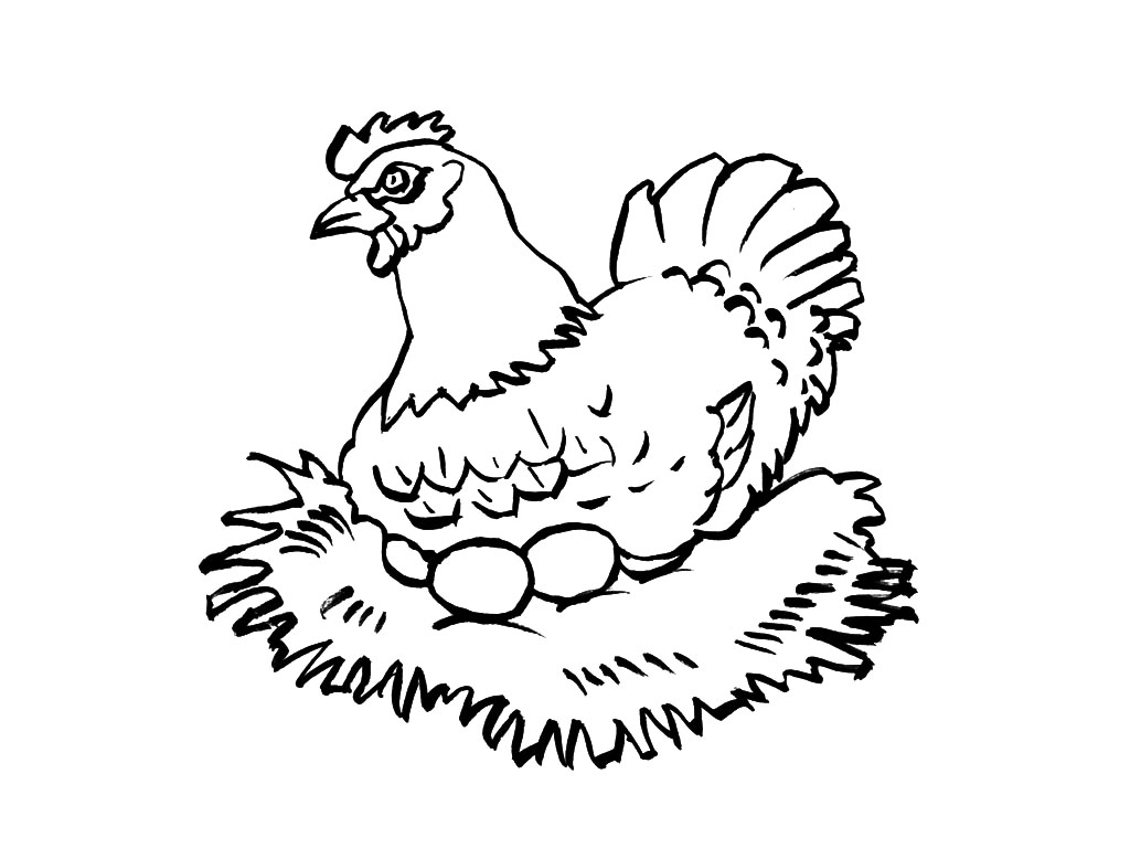 Dessin à colorier: Poulet (Animaux) #17397 - Coloriages à Imprimer Gratuits