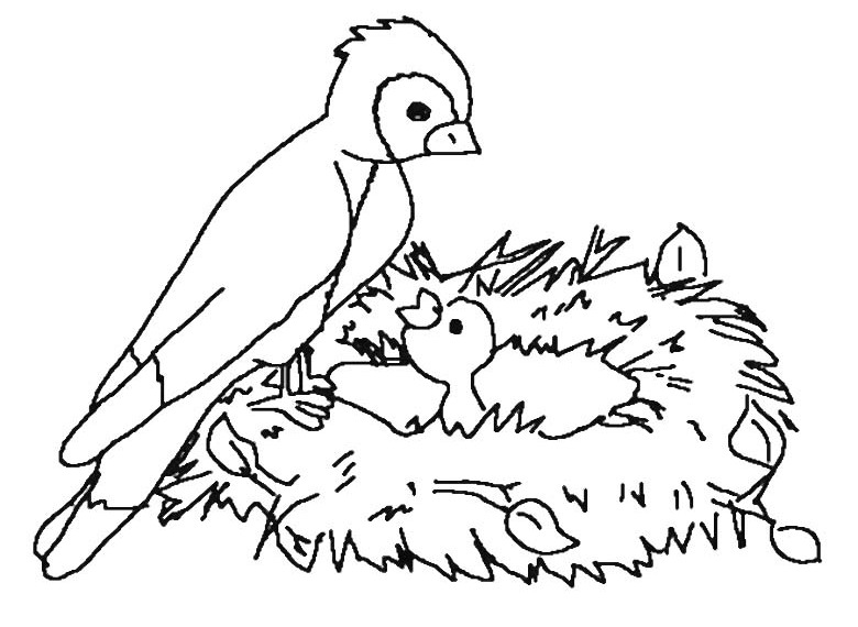 Dessin à colorier: Poussin (Animaux) #20142 - Coloriages à Imprimer Gratuits