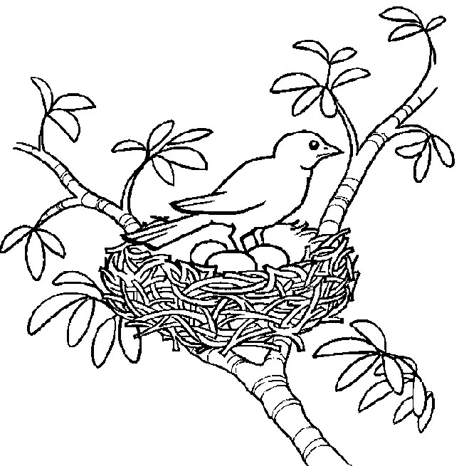 Coloriage gratuit Poussin #20150 de la collection Animaux à imprimer