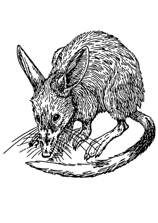 Dessin à colorier: Rat (Animaux) #15182 - Coloriages à Imprimer Gratuits