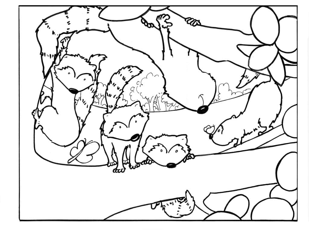 Coloriage gratuit Raton laveur #208532 de la collection Animaux à imprimer