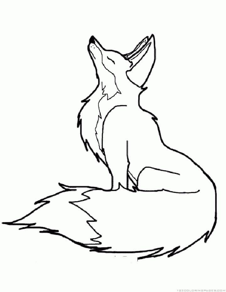 Dessin à colorier Renard #179469 issu de la collection Animaux, prêt à imprimer