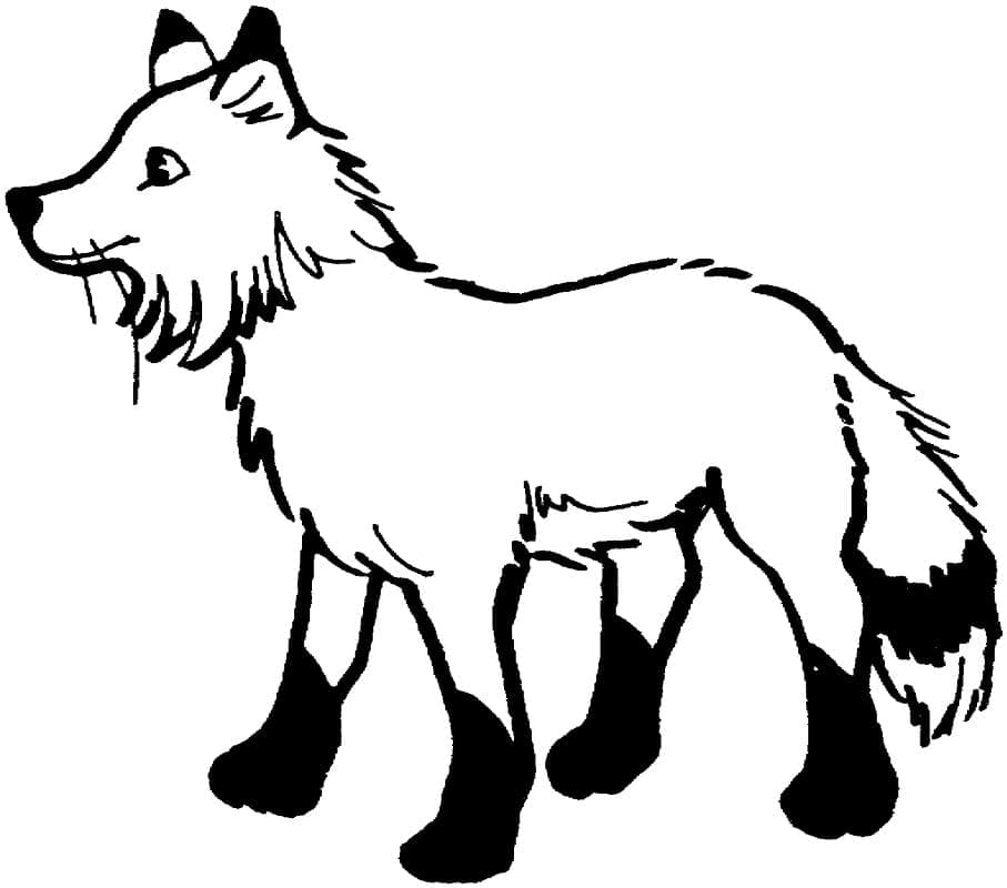 Illustration au trait Renard #179489 de la collection Animaux à colorier gratuitement