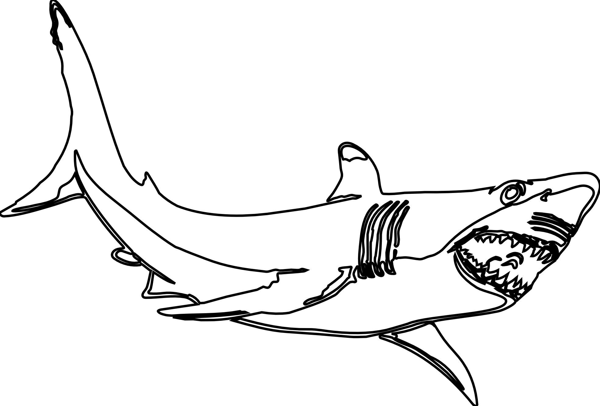 Dessin Requin #14837 (Animaux) à colorier – Coloriages à imprimer