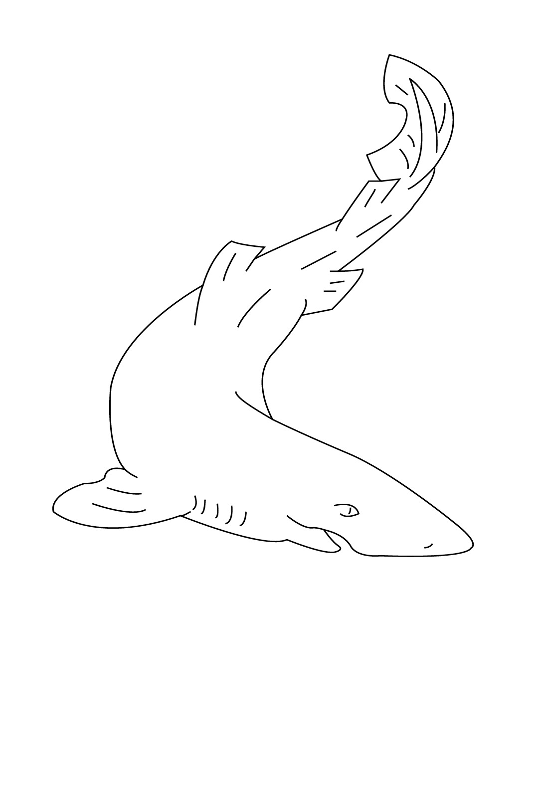 Dessin à colorier: Requin (Animaux) #14907 - Coloriages à Imprimer Gratuits