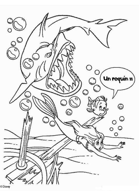 Dessin à colorier: Requin (Animaux) #14938 - Coloriages à Imprimer Gratuits
