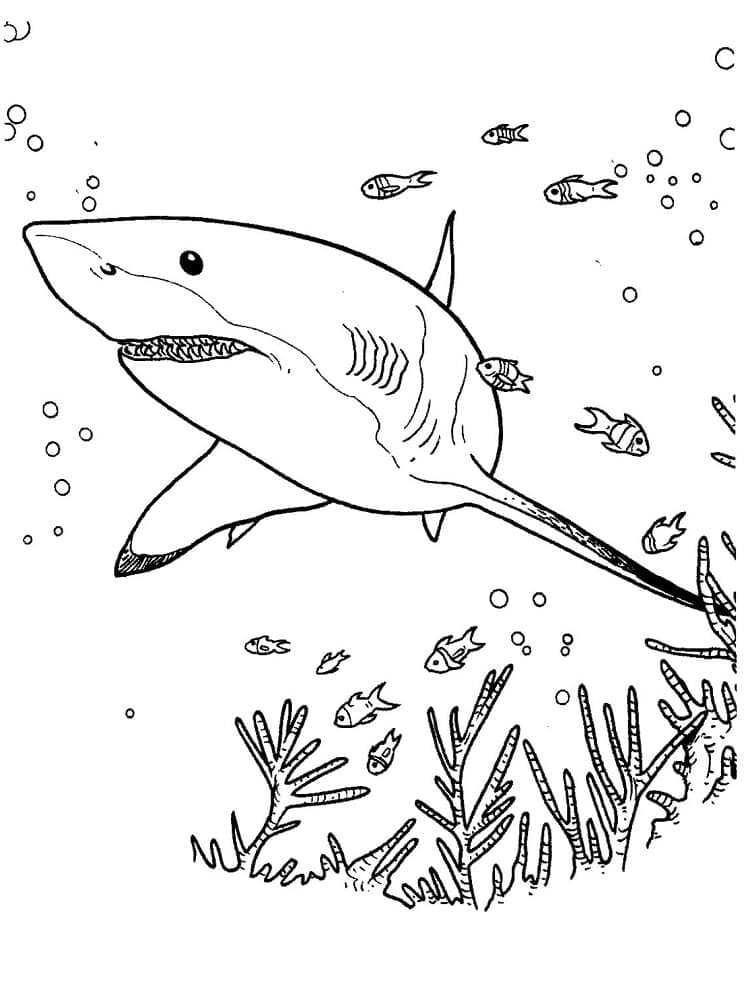 Coloriage imprimable Requin #177715 de la collection Animaux à colorier aux crayons