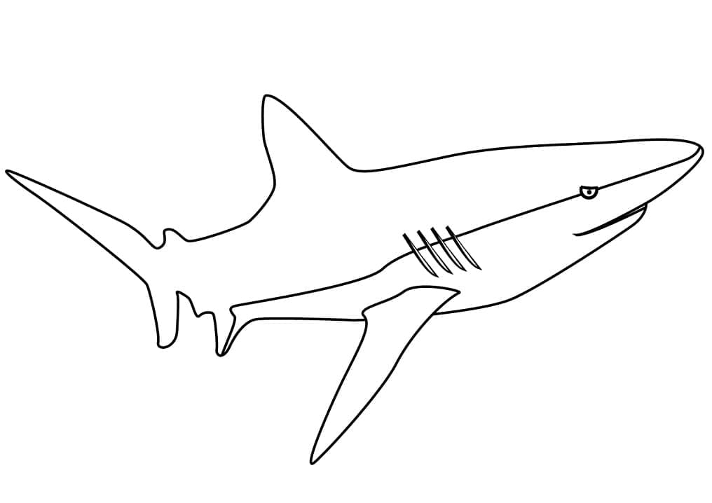 Joli coloriage Requin #177719 de la collection Animaux, prêt à imprimer pour petits et grands