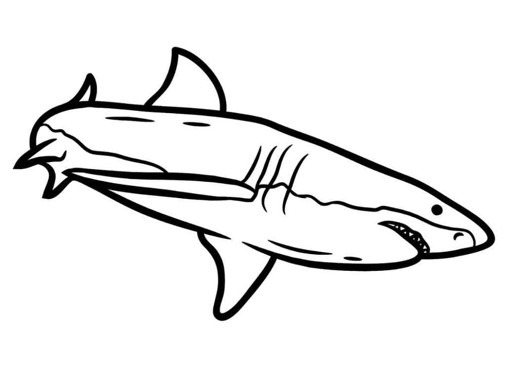 Coloriage Requin #177722 à imprimer gratuitement, extrait de la collection Animaux