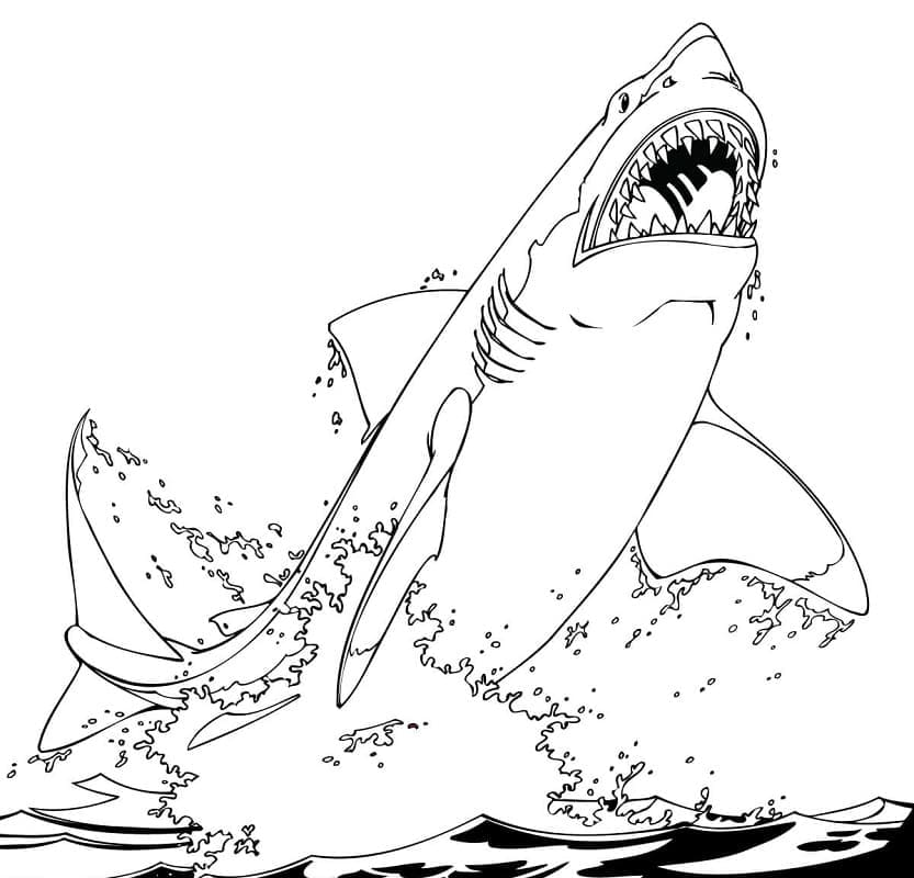 Coloriage gratuit Requin #217020 de la collection Animaux à imprimer