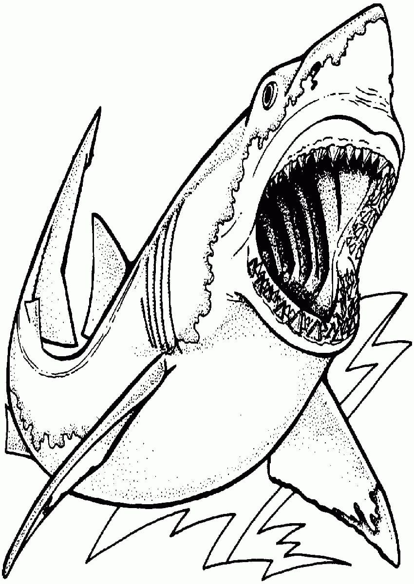 Coloriage imprimable Requin #217025 de la collection Animaux à colorier aux crayons