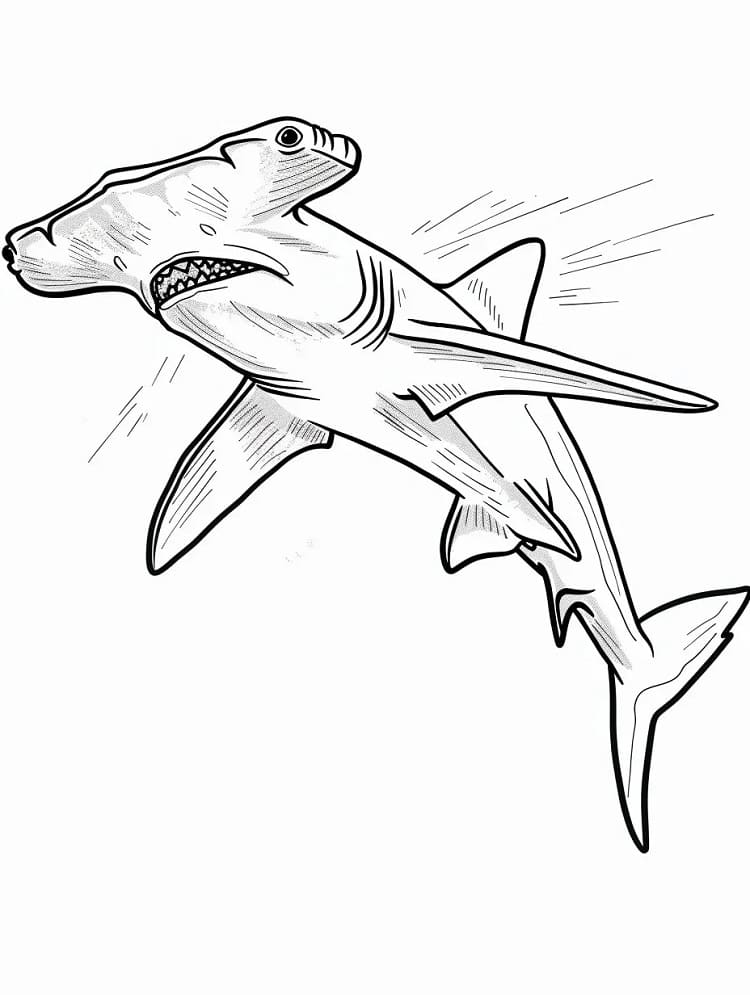 Dessin à colorier: Requin Marteau (Animaux) #220993 - Coloriages à Imprimer Gratuits