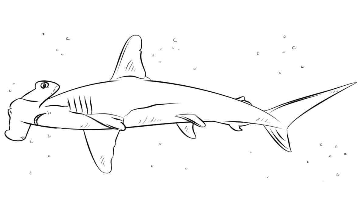Coloriage gratuit Requin Marteau #221000 de la collection Animaux à imprimer