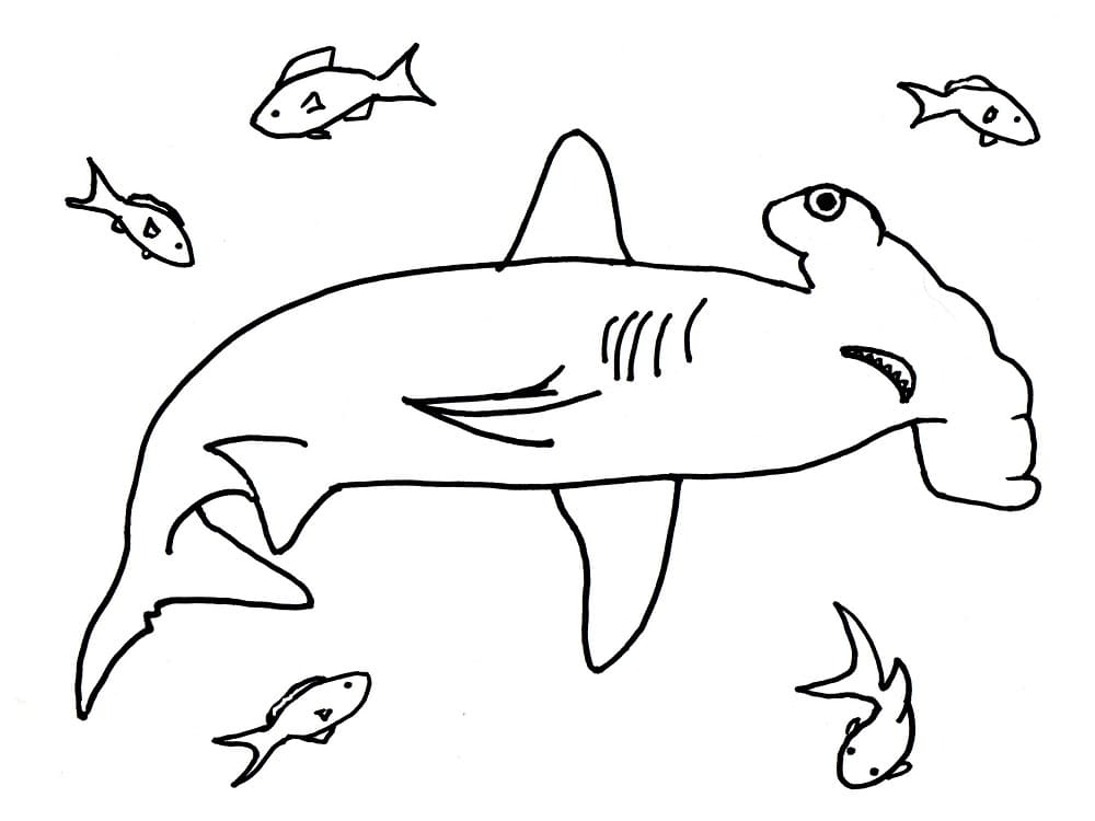 Dessin à colorier: Requin Marteau (Animaux) #221019 - Coloriages à Imprimer Gratuits
