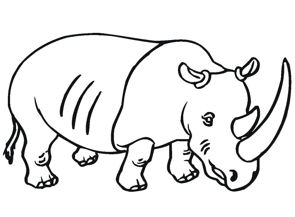 Dessin à colorier: Rhinocéros (Animaux) #206670 - Coloriages à Imprimer Gratuits