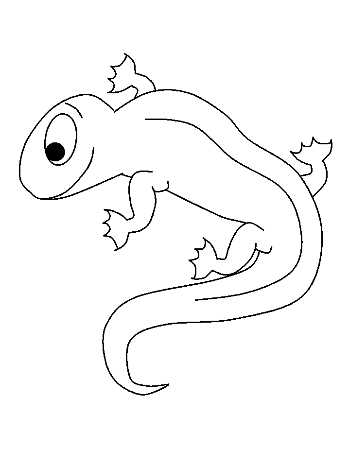 Dessin Salamandre #19906 (Animaux) à colorier – Coloriages à imprimer