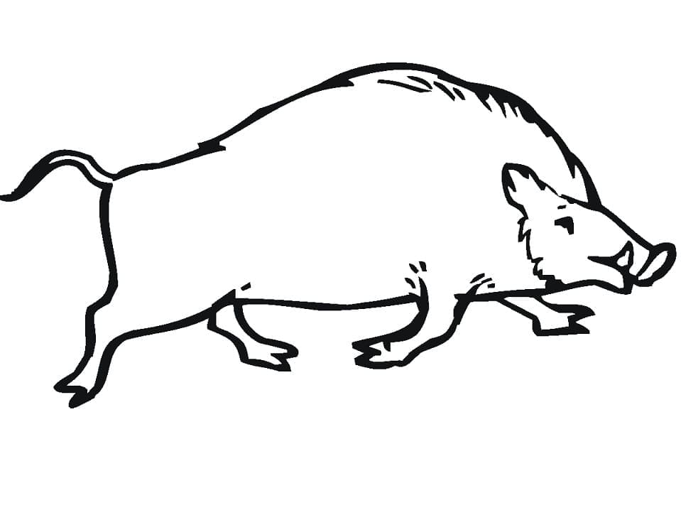 Dessin à colorier: Sanglier (Animaux) #205352 - Coloriages à Imprimer Gratuits