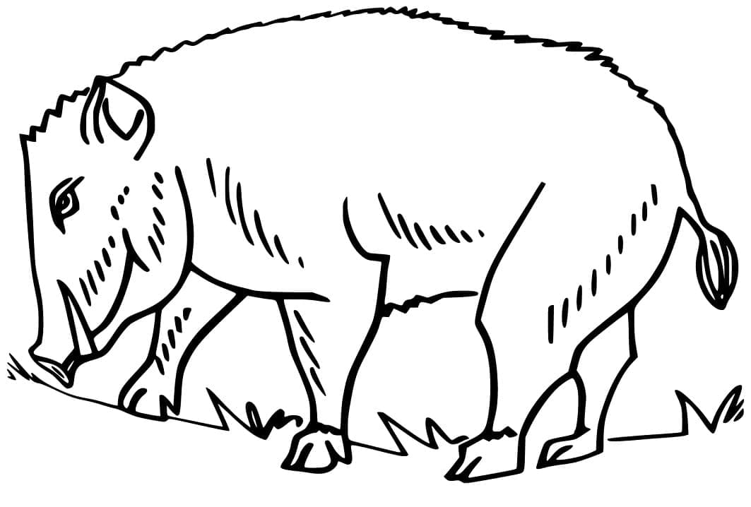 Dessin à colorier: Sanglier (Animaux) #205353 - Coloriages à Imprimer Gratuits
