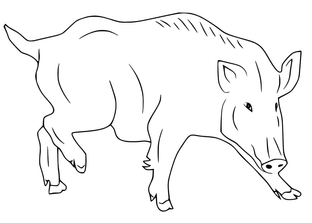 Dessin à colorier: Sanglier (Animaux) #205354 - Coloriages à Imprimer Gratuits
