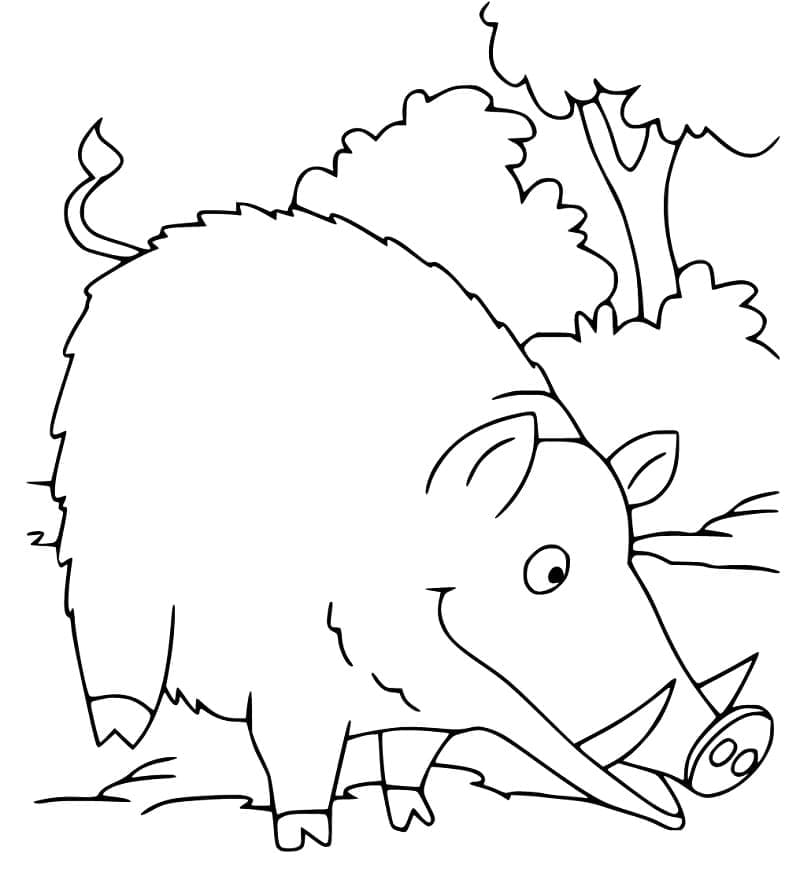 Dessin à colorier: Sanglier (Animaux) #205355 - Coloriages à Imprimer Gratuits