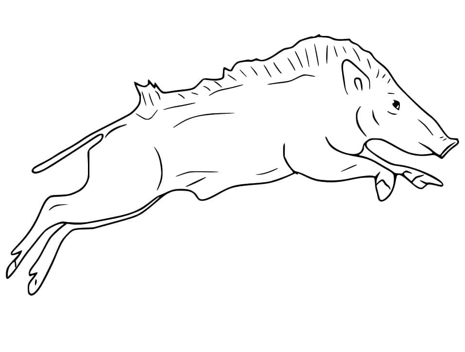 Dessin à colorier: Sanglier (Animaux) #205357 - Coloriages à Imprimer Gratuits