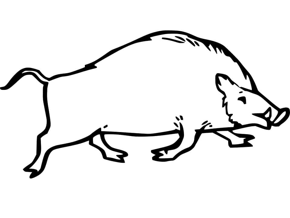 Dessin à colorier: Sanglier (Animaux) #205362 - Coloriages à Imprimer Gratuits