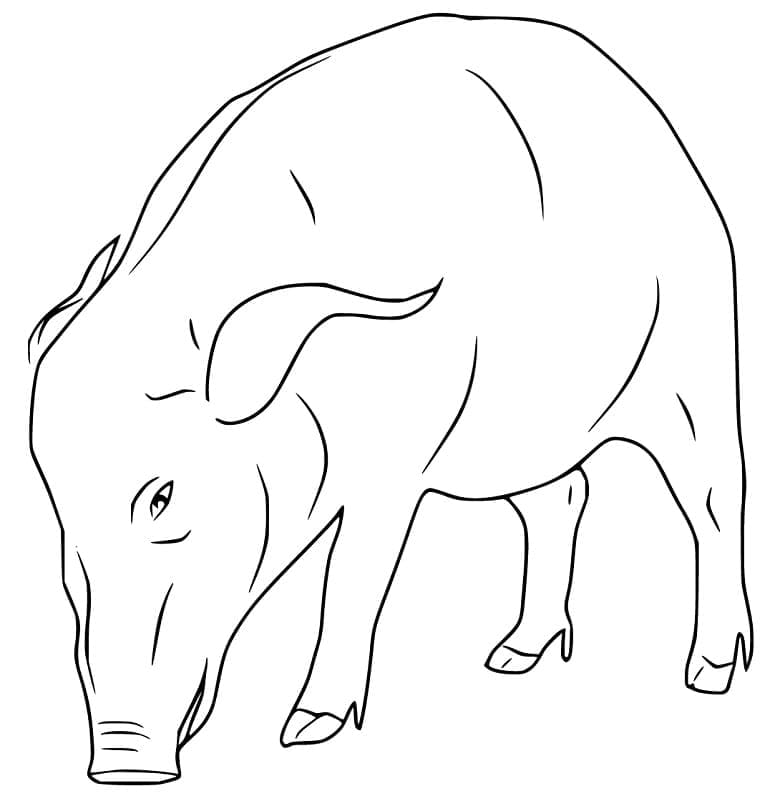 Dessin à colorier: Sanglier (Animaux) #205364 - Coloriages à Imprimer Gratuits