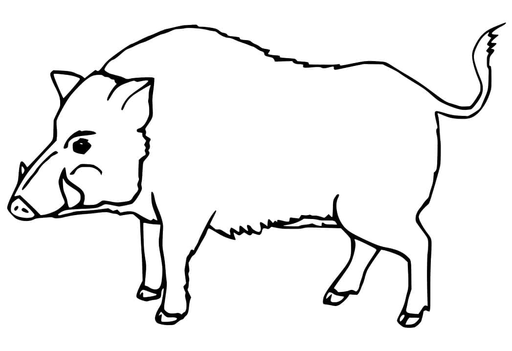 Dessin à colorier: Sanglier (Animaux) #205367 - Coloriages à Imprimer Gratuits