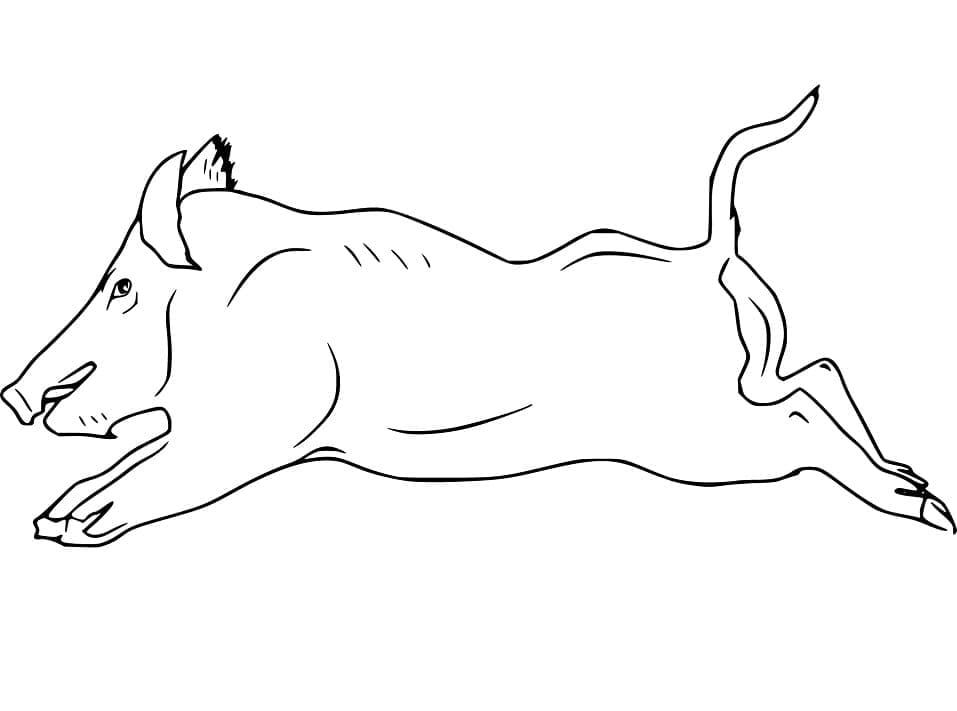 Dessin à colorier: Sanglier (Animaux) #205368 - Coloriages à Imprimer Gratuits
