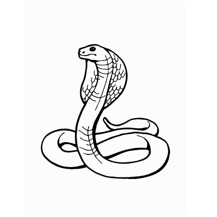 Dessin à colorier: Serpent (Animaux) #14341 - Coloriages à Imprimer Gratuits