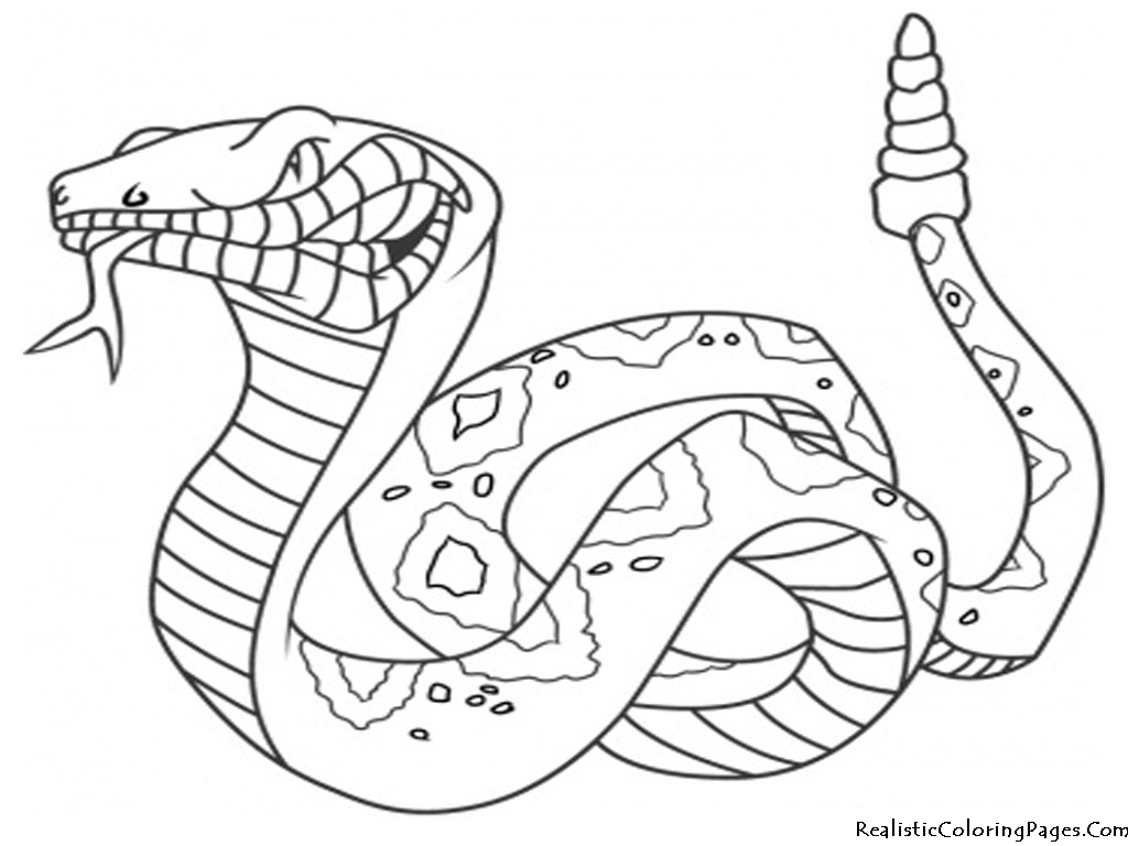 Dessin à colorier: Serpent (Animaux) #14342 - Coloriages à Imprimer Gratuits