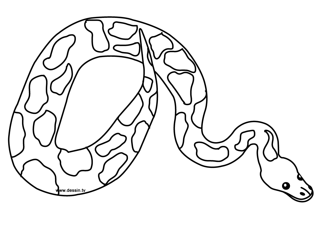 Dessin à colorier: Serpent (Animaux) #14352 - Coloriages à Imprimer Gratuits