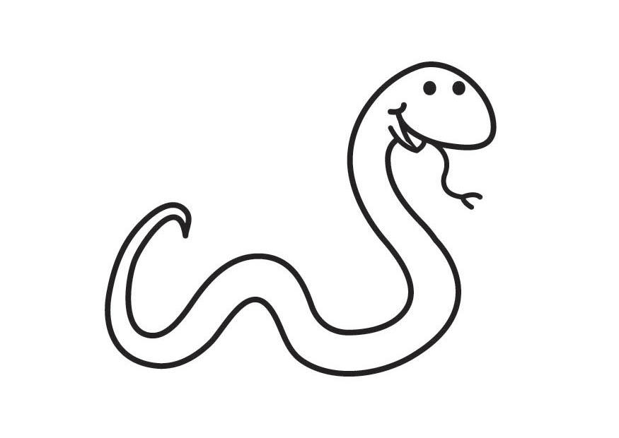 Dessin à colorier: Serpent (Animaux) #14353 - Coloriages à Imprimer Gratuits