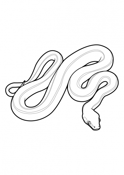 Dessin à colorier: Serpent (Animaux) #14358 - Coloriages à Imprimer Gratuits