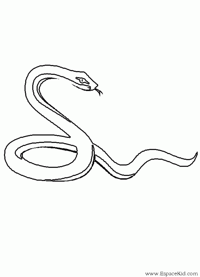 Dessin à colorier: Serpent (Animaux) #14365 - Coloriages à Imprimer Gratuits