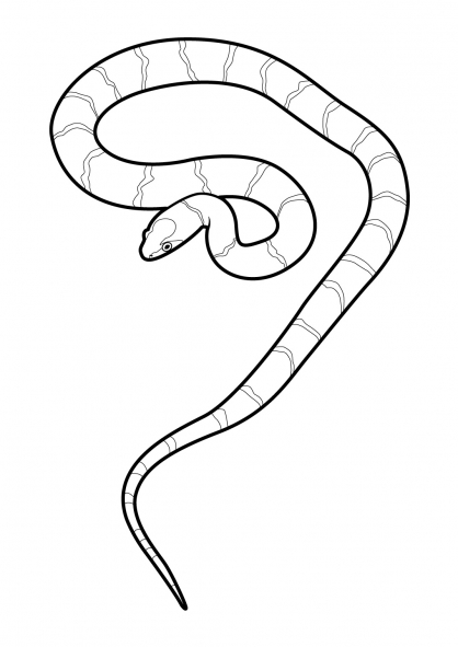 Dessin à colorier: Serpent (Animaux) #14410 - Coloriages à Imprimer Gratuits