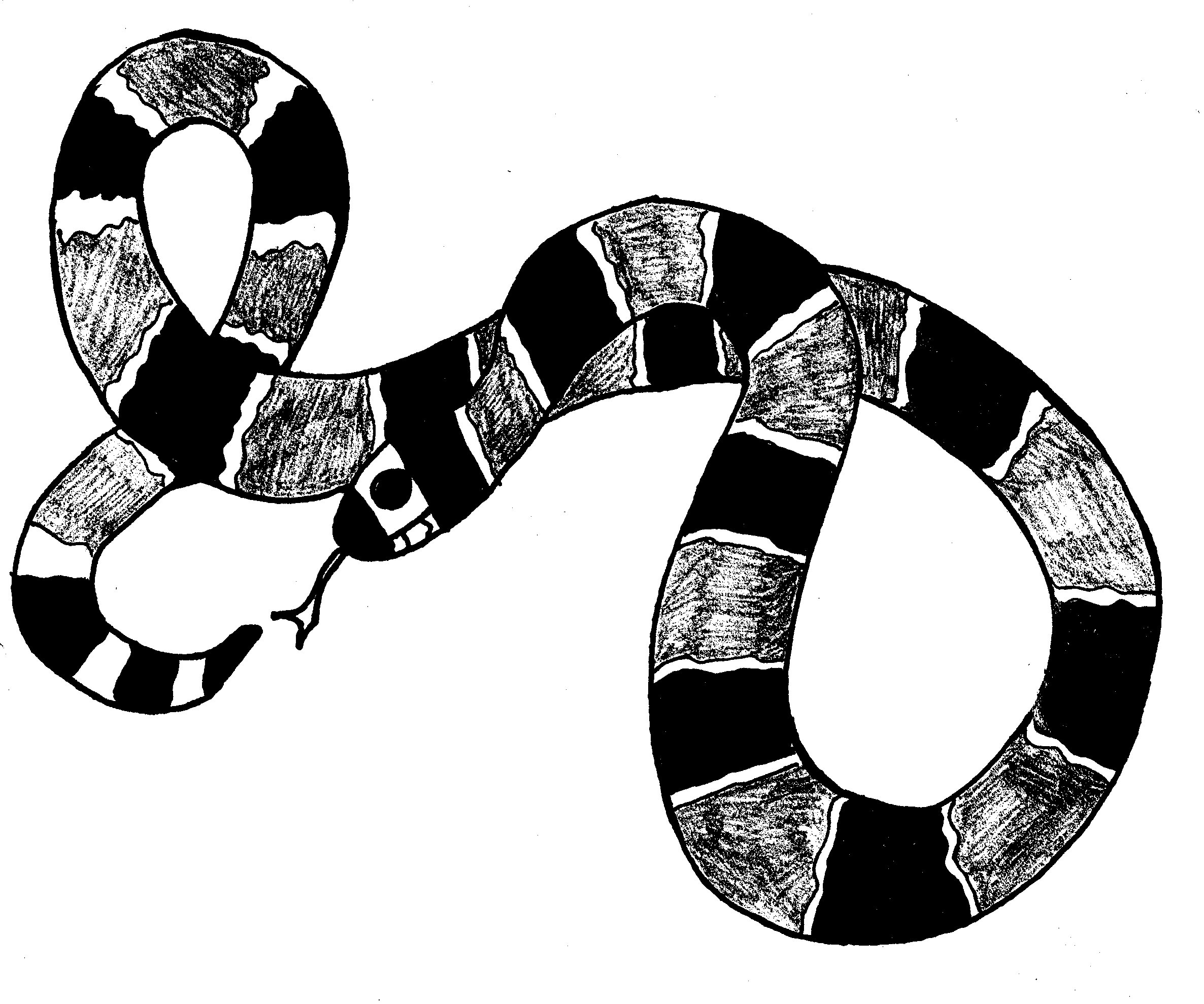 Dessin à colorier: Serpent (Animaux) #14426 - Coloriages à Imprimer Gratuits