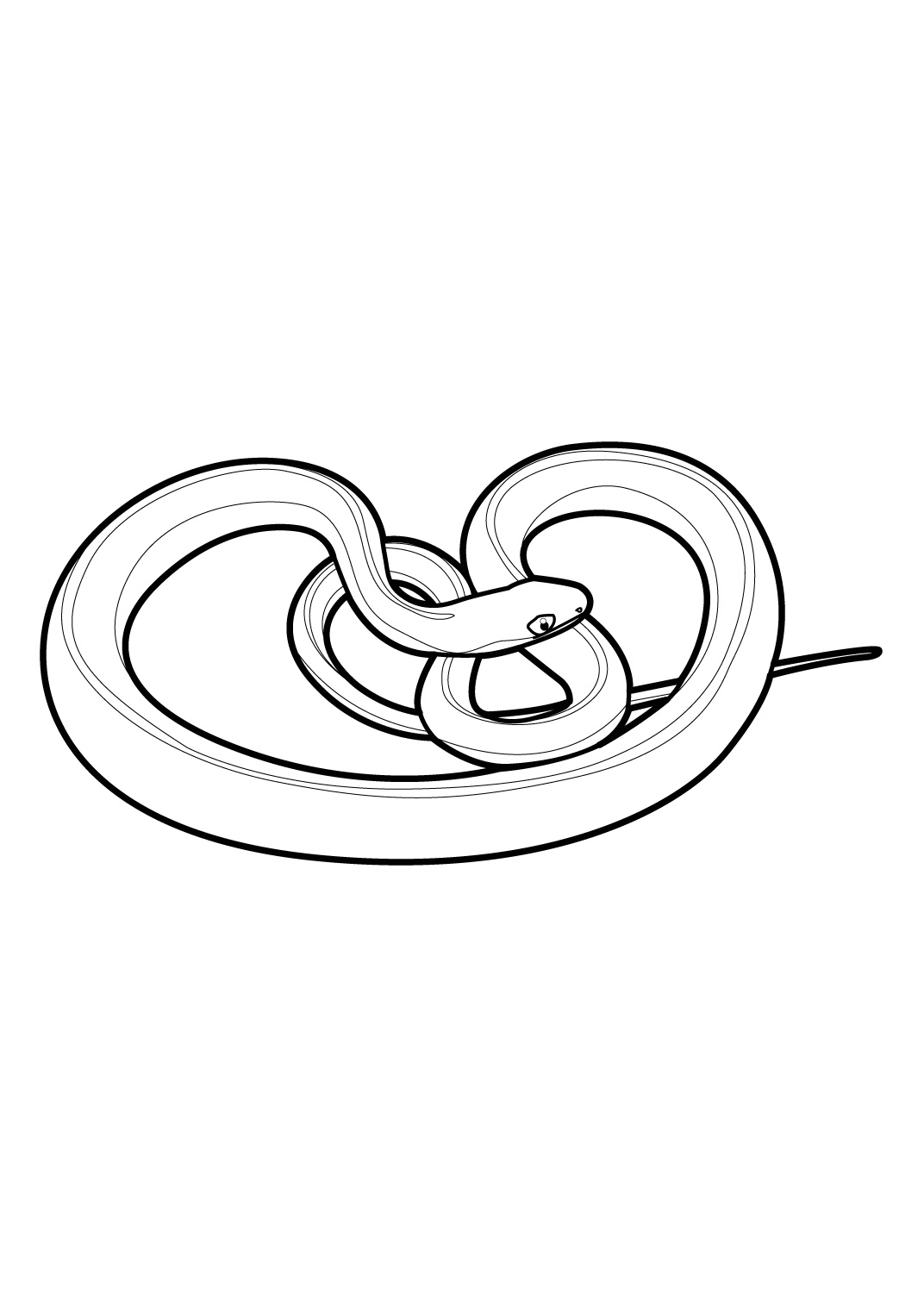 Dessin à colorier: Serpent (Animaux) #14430 - Coloriages à Imprimer Gratuits