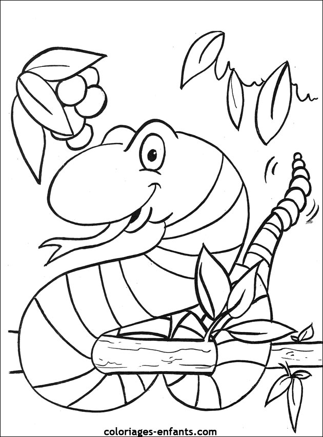 Dessin à colorier: Serpent (Animaux) #14487 - Coloriages à Imprimer Gratuits