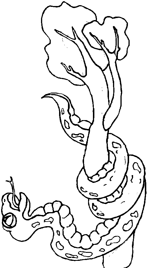 Dessin à colorier: Serpent (Animaux) #14525 - Coloriages à Imprimer Gratuits