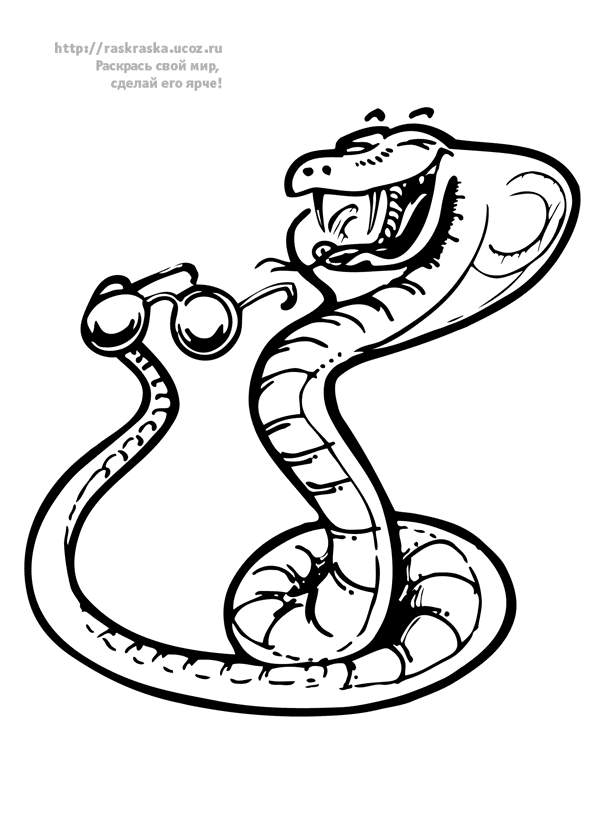Dessin à colorier: Serpent (Animaux) #14536 - Coloriages à Imprimer Gratuits
