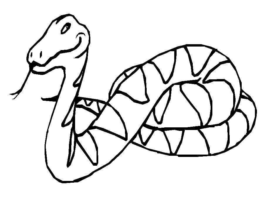 Coloriage gratuit Serpent #175127 de la collection Animaux à imprimer