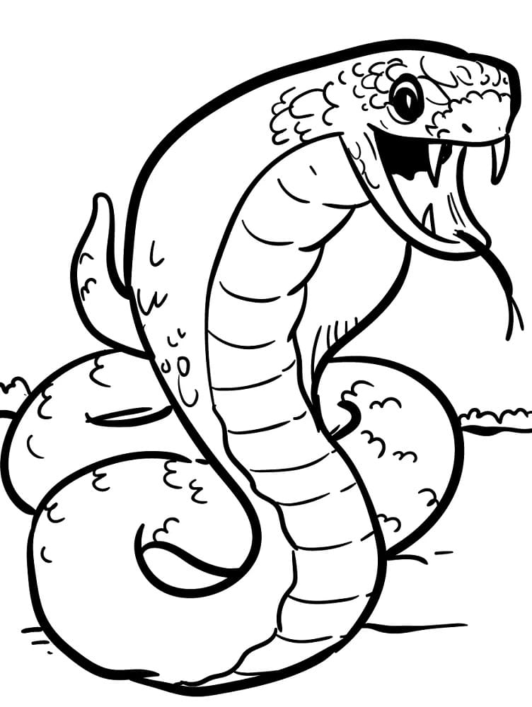 Coloriage gratuit Serpent #216882 de la collection Animaux à imprimer