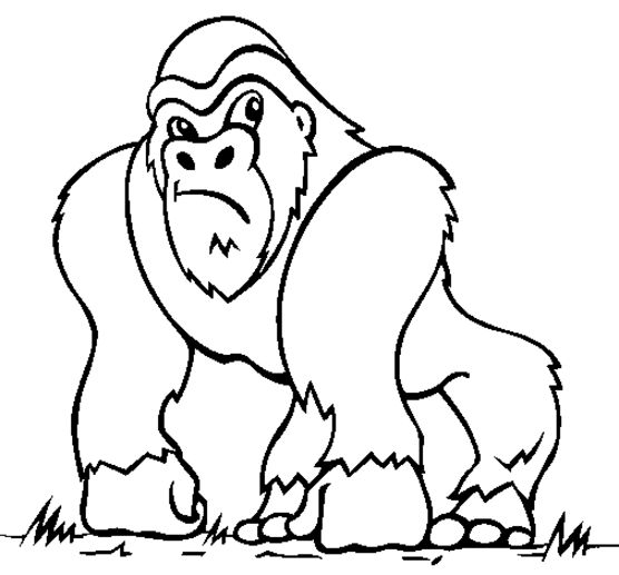 Dessin à colorier: Singe (Animaux) #14163 - Coloriages à Imprimer Gratuits