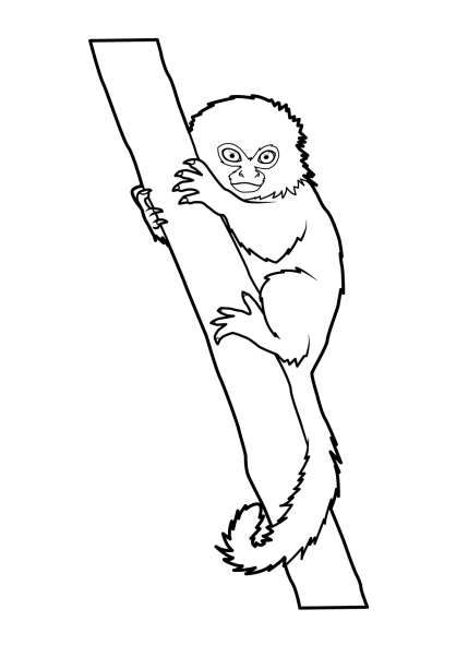 Dessin à colorier: Singe (Animaux) #14168 - Coloriages à Imprimer Gratuits